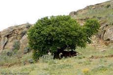 Sizilien (35 von 565).jpg